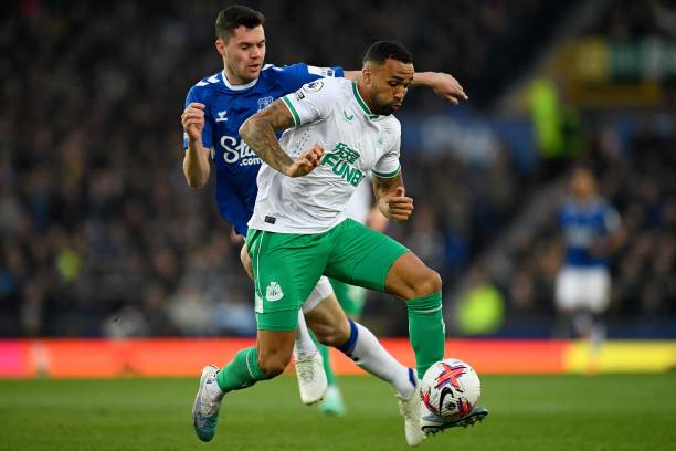 队中新引进 队中新引进